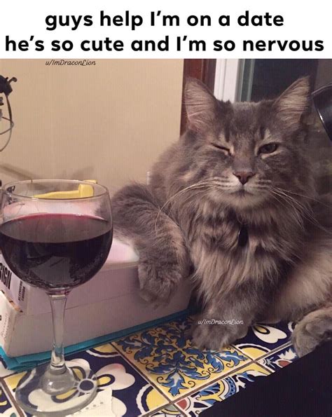 cat dating memes